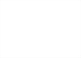 金奖杯